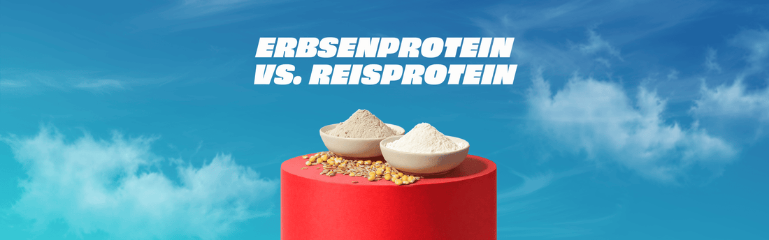  Erbsenprotein vs. Reisprotein Unterschiede Hero Image