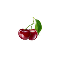 Cherry White Tea / 600g
