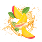 Splash Image