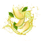 Splash Image