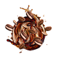 Splash Image