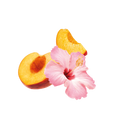 Peach Hibiscus Iced Tea / 65ml