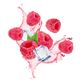 Splash Image