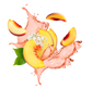 Splash Image