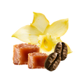 Crème Brûlée / 500g
