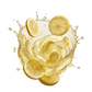 Splash Image