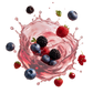 Splash Image