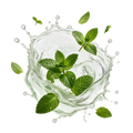 Mint / 30 x 5g