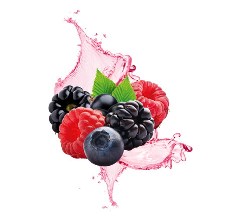 Splash Image