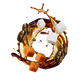 Splash Image