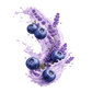 Splash Image