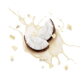 White Chocolate Coconut / 50g