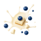 Splash Image