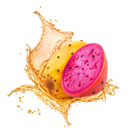 Splash Image